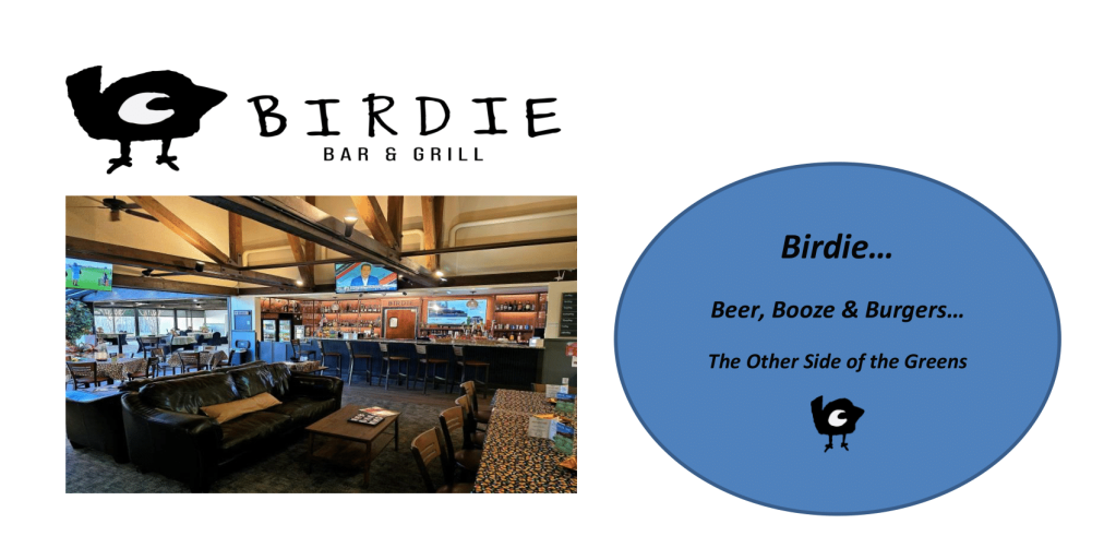 Birdie Website Intro header